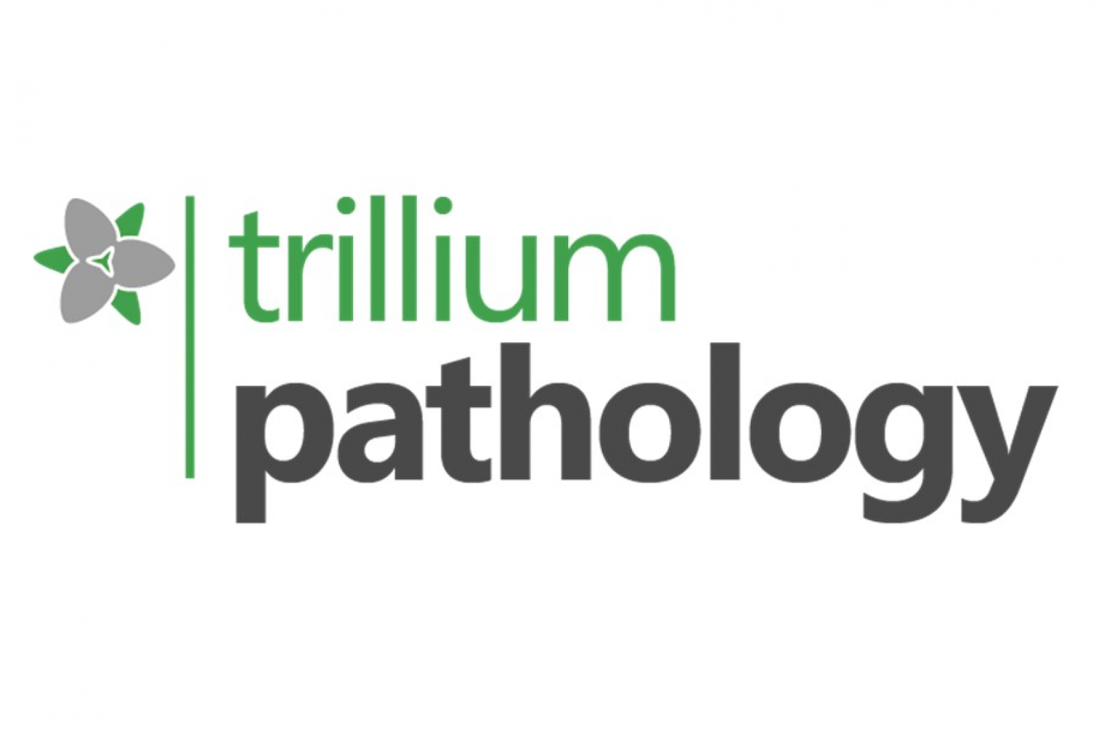 Trillium  sponsor